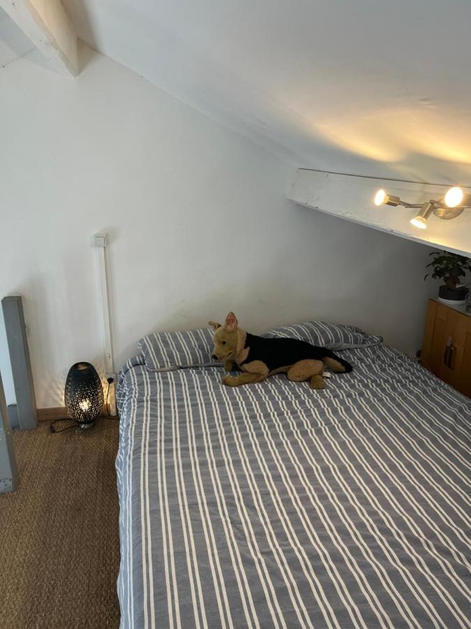 Les Hauts De Malmousque Apartment มาร์กเซย ภายนอก รูปภาพ